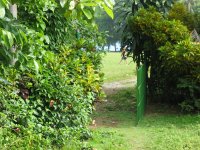 View of Beach from Front Gate of Cabin