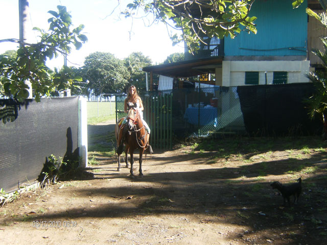 Horseback Riding Visitor
