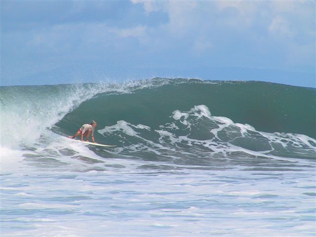 local Jaimie -doing it and doing it well (by Barry Donaldson)
